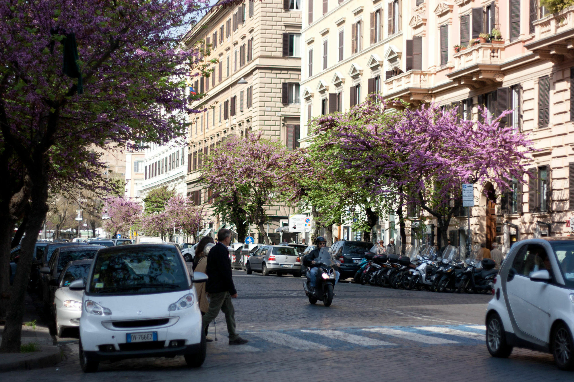 Penta Luxury House Gasthuis Rome